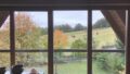 Ausblick aus Buro